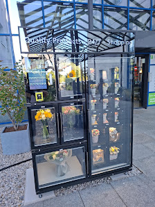 Blumenautomat Blütezeit