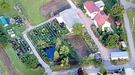 Kammbach Baumschule - Pflanzenhandel - Gartengestaltung