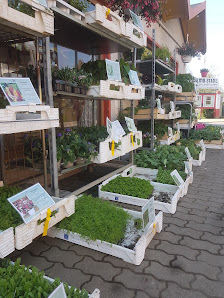 Blumengeschäft Angela Liebscher in Sachswitz