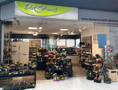 Blumen Edelweiß Rudolstadt