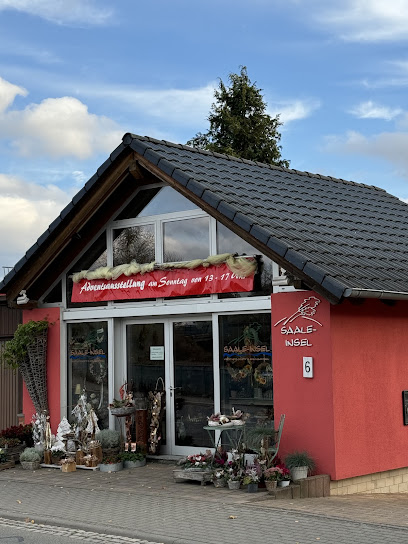Saale-Insel