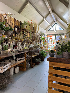 Domus Florum Ihr Blumenladen