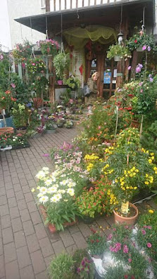 Blumenboutique Hartmann Egon