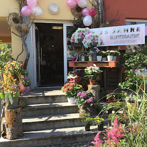 Blumengalerie am Pulverturm