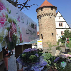 Blumengalerie am Pulverturm