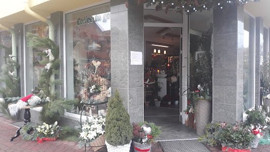 Goos Sylvio Blumenparadies