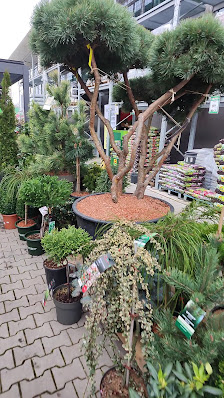 hagebaumarkt Barchfeld mit Gartencenter