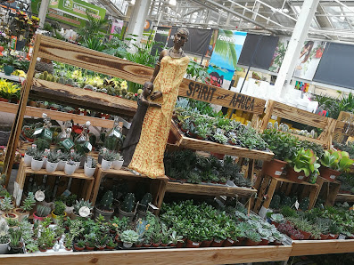 OBI Gartencenter Leipzig-Probstheida