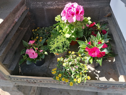 Ulrich Werbach Gartenbaubetrieb