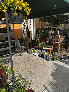 BlumenLiebe