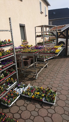 Blumen Härtel