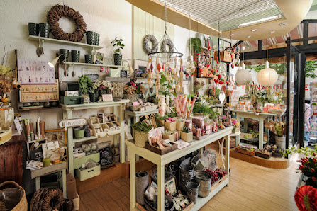Ewiger Frühling Inh. Viola Schumann