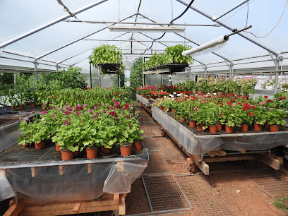 Gartenbau Söllner