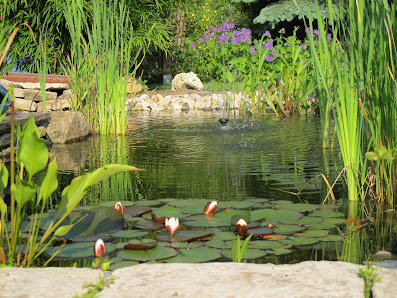Gartenplanung Heike Tanner - Gartenplaner