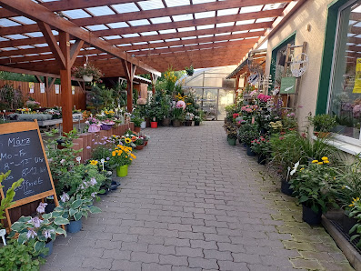 Karsten Laetsch Gartenbau