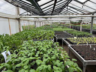 Gemüseproduktion Kulkwitz Gartenbaubetrieb Feldmann