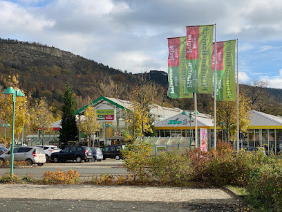 Pflanzen Richter Jena