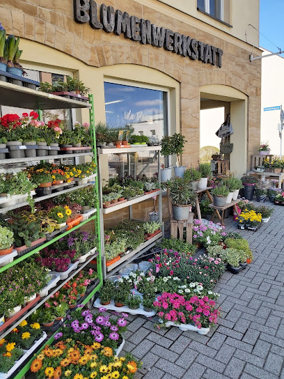 Vila Flora