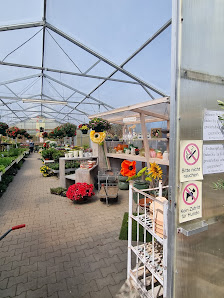 Pflanzenhof Göpfert