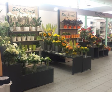 Blumen Edelweiß Leipzig Löwencenter