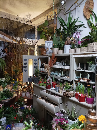 Blumen und Deko am Franzberg