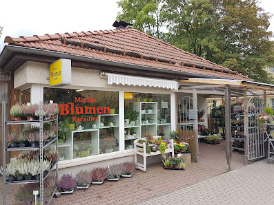 Marios Blumenparadies