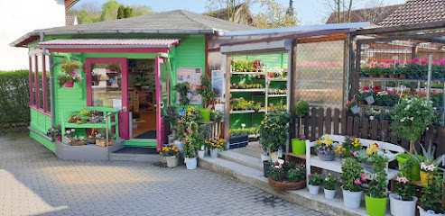 Marios Blumenparadies