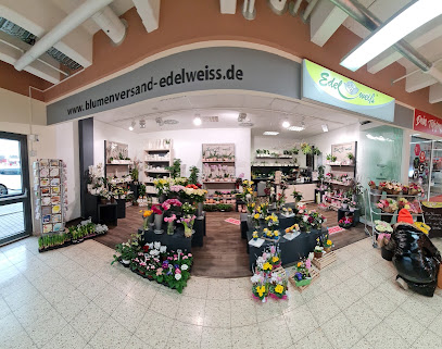 Blumen Edelweiß Arnstadt