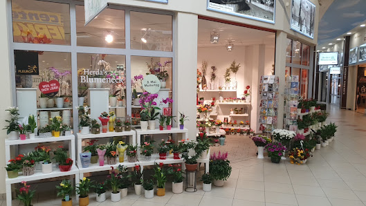 Herda's Blumeneck