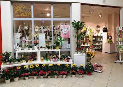 Herda's Blumeneck