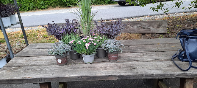 Das Tor zum Garten