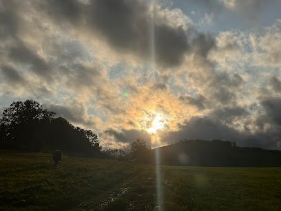 Wittgensteiner Staudengärtnerei