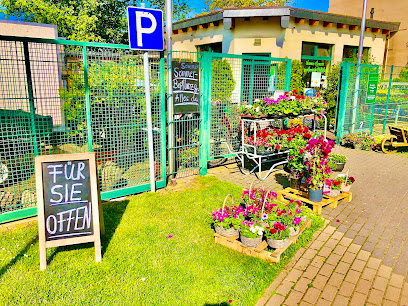 GARTENBAU GOMMLICH Fleurop Sterne-Florist in Zerbst ️ Ihre regionale Gärtnerei Grabpflege-u.Gestaltung Floristik