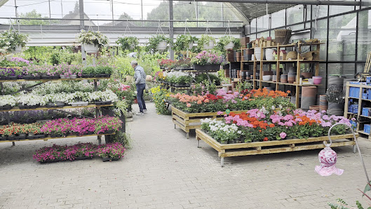 Regines Blumen- & Gartenmarkt GmbH & Co. KG