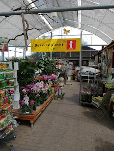 Regines Blumen- & Gartenmarkt GmbH & Co. KG