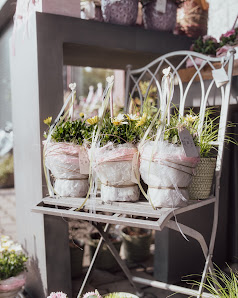 Blütezeit – Blumenladen Bad Salzungen