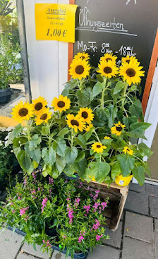 ThüFlor Blumengroß- und Einzelhandel - Filiale Oberdorla