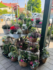 ThüFlor Blumengroß- und Einzelhandel - Filiale Oberdorla