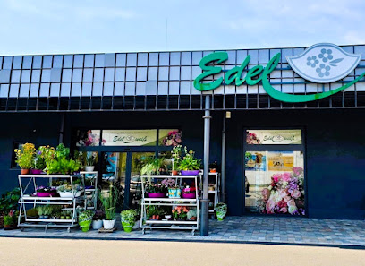 Blumen Edelweiß Mühlhausen