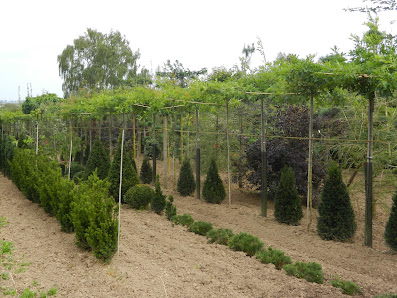 Peter Kemper, Greenart