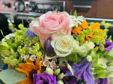 Allmijer Blomelare