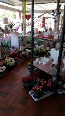 Blumen Beinert