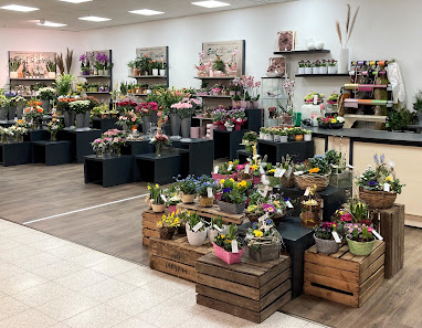 Blumen Edelweiß Bad Salzungen Goethegalerie