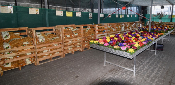 Bestehorns Markt Gartencenter GmbH & Co. KG
