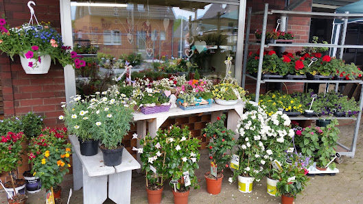 Blumen de Vries