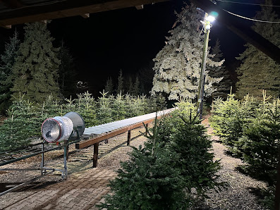 Weihnachtsbäume Kranz