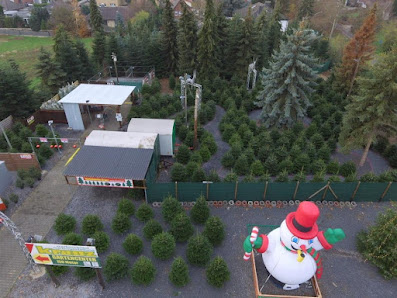 Weihnachtsbäume Kranz