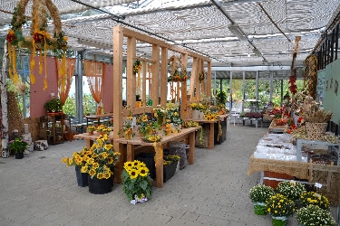 Zöller Gartengestaltung und Pflanzen