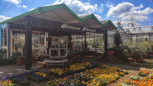Blumen Nötzold