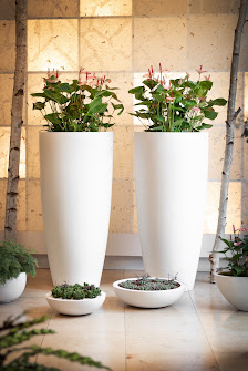 Nobis Blumen
